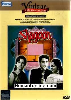 Shagoon 1964